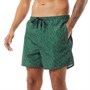 ONLY & SONS Heren Ted Stripe Print Zwemshorts Groen