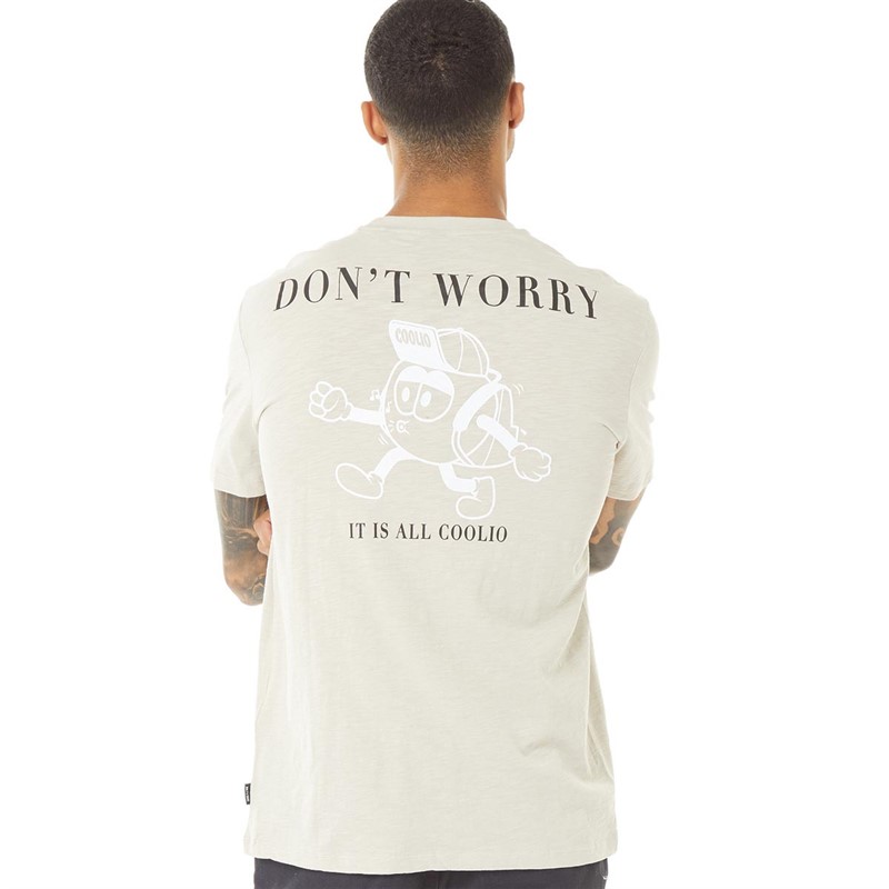 ONLY & SONS Mens Jake Print T-Shirt Silver Lining