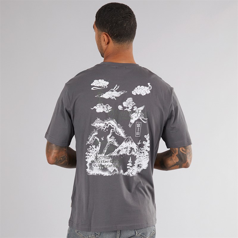 ONLY & SONS Mens Tristan Relax T-Shirt Mount Fuji
