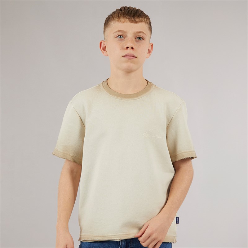 ONLY & SONS Junge Tilmo Life T Shirt Chinchilla