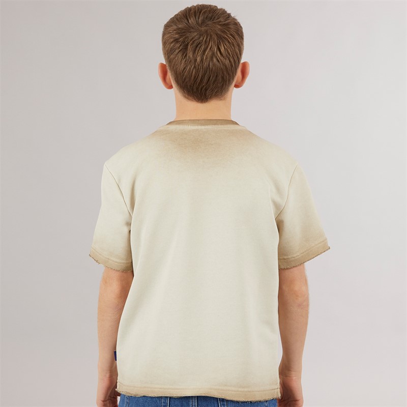 ONLY & SONS Junge Tilmo Life T Shirt Chinchilla