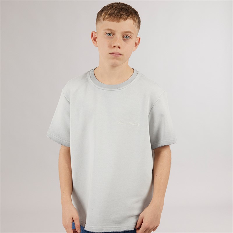 ONLY & SONS Junge Tilmo Life T Shirt Ultimate Grey