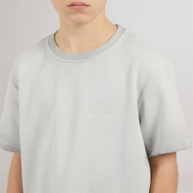 ONLY & SONS Junge Tilmo Life T Shirt Ultimate Grey