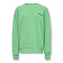ONLY & SONS Drenge Benjamin Liv Sweatshirt Ming