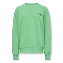 ONLY & SONS Drenge Benjamin Liv Sweatshirt Ming