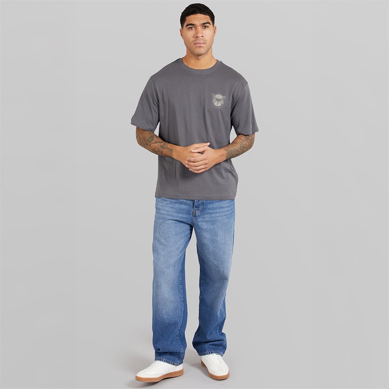 ONLY & SONS Mens Tristan Relaxed T-Shirt Grey Pinstripe/Butterflies