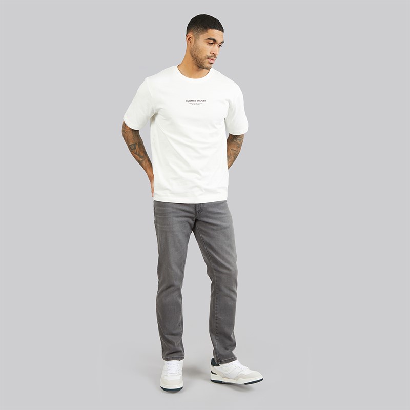 ONLY & SONS Mens Curated Relaxed T-Shirt Cloud Dancer