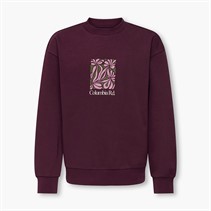 ONLY & SONS Beaufort bluza dla chłopca kolor Fig