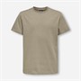 ONLY & SONS Boys Fred Life T-Shirt Desert Taupe