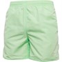 Speedo Shorts de Bain Core Leisure 16 Inch Water Homme Vert Menthe
