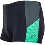 Speedo Mens Dive Aqua Shorts Blue/Green
