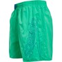Speedo Mens Boom Logo 16 Inch Water Shorts Green/Blue