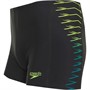 Speedo Mens Tech Panel Aquashorts Black/Green