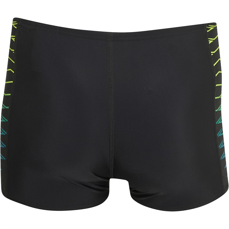 Speedo Mens Tech Panel Aquashorts Black/Green