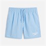 Speedo Junior Boys Essential 13 Inch Swim Shorts Sugar Blue/Celeste/Iris Mirror
