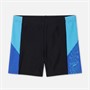 Speedo Mens Dive Splice Aqua Shorts Cobalt Pop