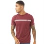 Sergio Tacchini Tee-Shirt Homme Bordeaux