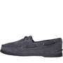 Sperry Chaussures Bateau A/O Homme Gris