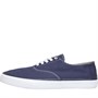 Sperry Herren Cloud Cvo Freizeit Schuhe Navy