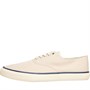 Sperry Męskie Cloud Cvo Brezentowy Trampki Ecru