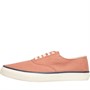 Sperry Herren Cloud Cvo Freizeit Schuhe Verwaschenes Rot