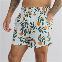 THREADBARE Mens Ripen Microfibre Swim Shorts Cream
