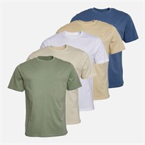 THREADBARE Mens Jaden Five Pack T-Shirts Almond/Stone/White/Sage/Denim Blue