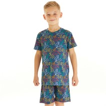 Threadboys Boys Shortie Pyjama Set Multi