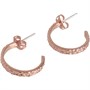 Ted Baker Dames Heanna Sieraden Rose Goud