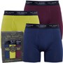 Ted Baker Boxers Boxer Homme Multicolore