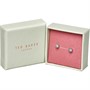 Ted Baker Womens Parella Stud Earrings Silver Tone