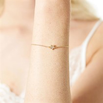 Ted Baker Womens Nano Star Bracelet Gold Tone