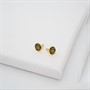 Ted Baker Womens Monlia Monogram Stud Earrings Gold Tone/Black