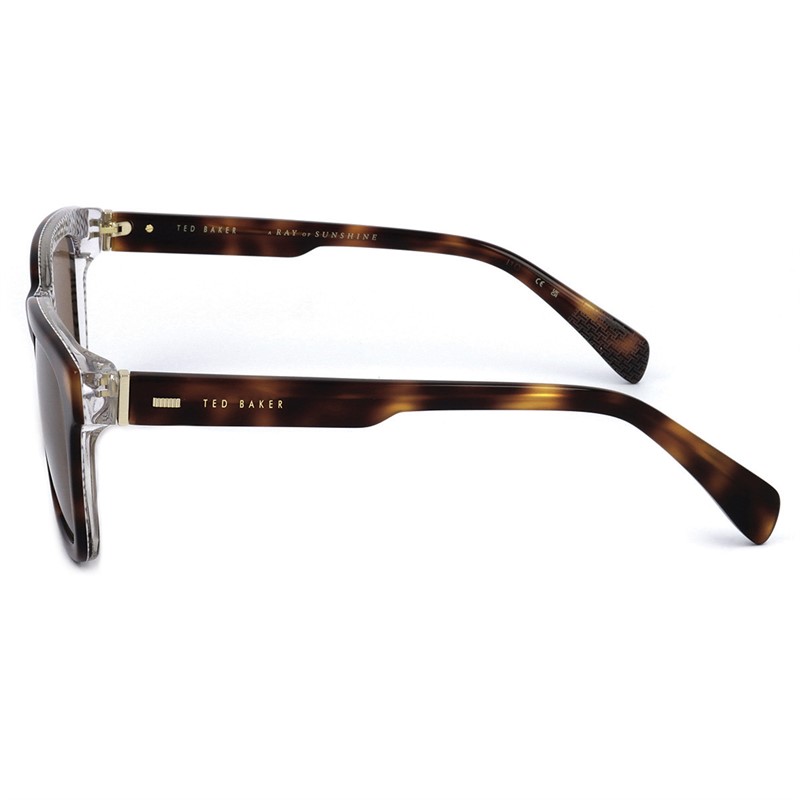 Ted Baker Mens Sunglasses Gloss Classic Tortoise