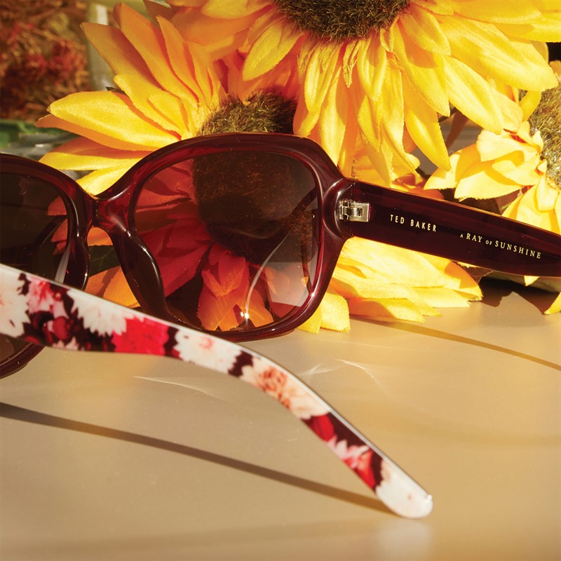 Ted Baker Womens Sunglasses Burgundy