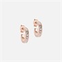 Ted Baker Womens Seenita Crystal Hoop Earrings Rose Gold Tone