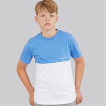 Blue/White