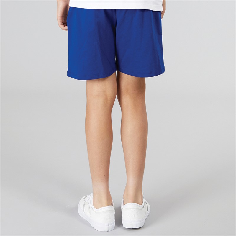 Tommy Hilfiger Boys Graphic Sweat Shorts Wedge Blue