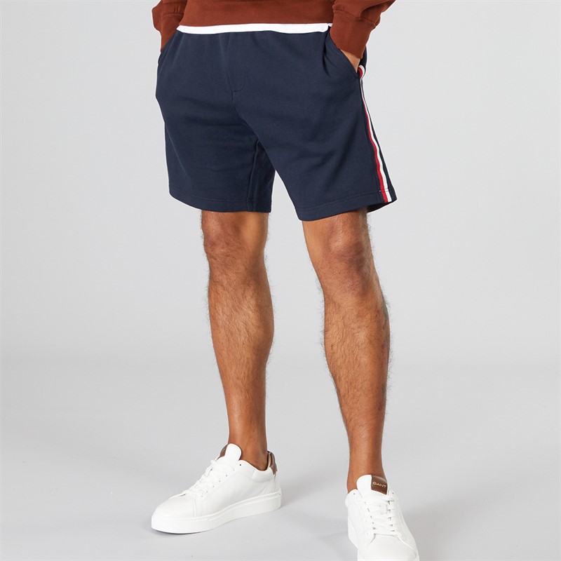 Tommy Hilfiger Mens Global Stripe Shorts Desert Sky