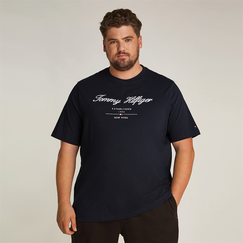 Tommy Hilfiger Heren Plus Size Script Logo T-Shirt Desert Sky
