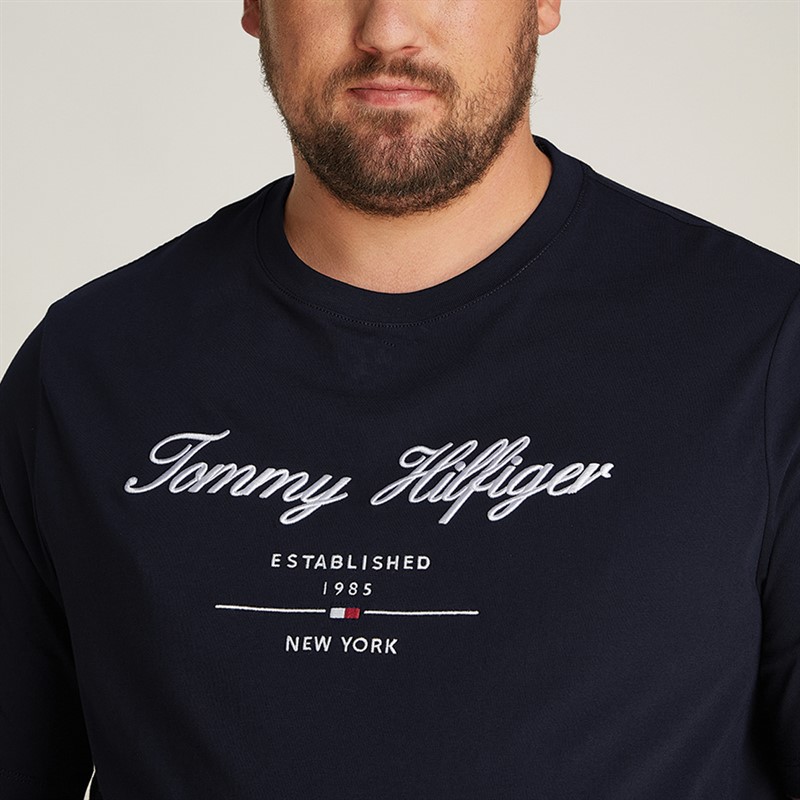 Tommy Hilfiger Heren Plus Size Script Logo T-Shirt Desert Sky