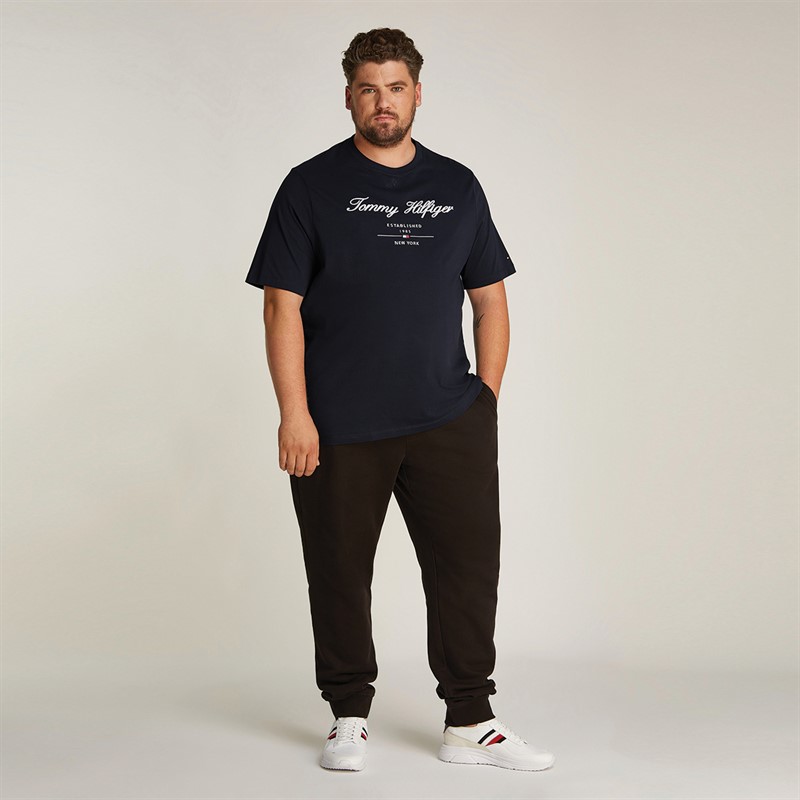 Tommy Hilfiger Heren Plus Size Script Logo T-Shirt Desert Sky