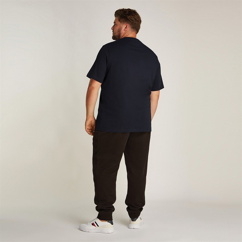 Tommy Hilfiger Heren Plus Size Script Logo T-Shirt Desert Sky