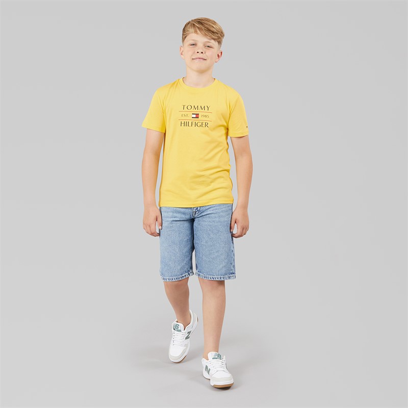 Tommy Hilfiger Boys Tommy Flag T-Shirt Citronella