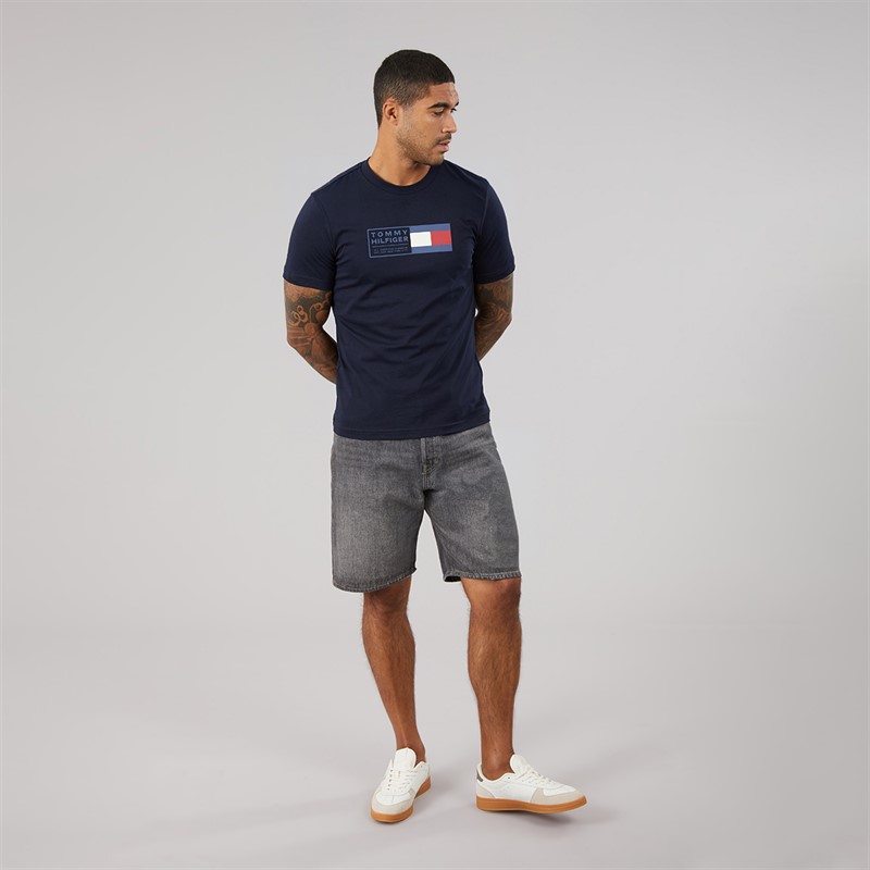 Tommy Hilfiger Mens Brand Love Text Box T-Shirt Desert Sky
