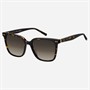 Tommy Hilfiger Womens Square Sunglasses Havana