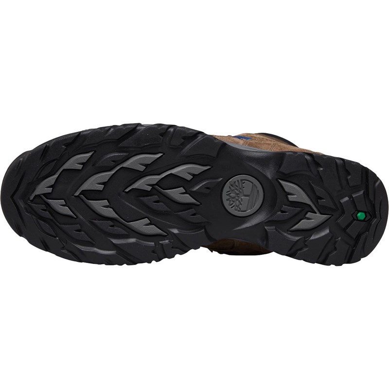 Buy Timberland Mens MT Major Mid GORETEX Hiking Boots Shitake