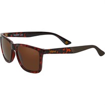 Timberland Mens Sunglasses Havana