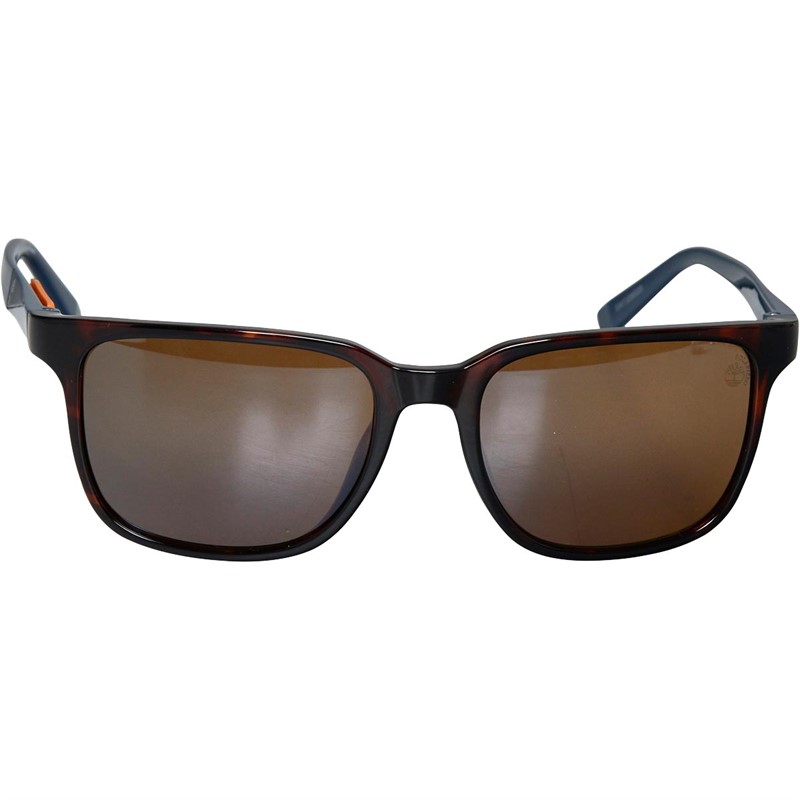 Buy Timberland Mens Sunglasses Dark Havana/Brown Polarized