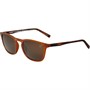 Timberland Mens Sunglasses Light Brown/Other/Brown Polarized